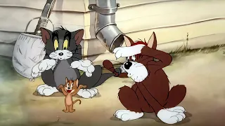 Tom and Jerry - Episode 9 - Sufferin' Cats! (AI Remastered) #tomandjerry #1440p #remastered