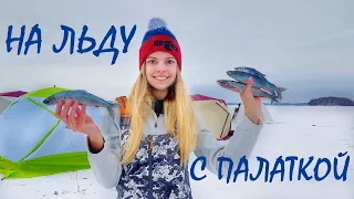 ЛОВИМ РЫБУ НА 30ТИ МЕТРОВОЙ ГЛУБИНЕ! На первый лед с ночёвкой! Сезон рыбалки на рипуса открыт!