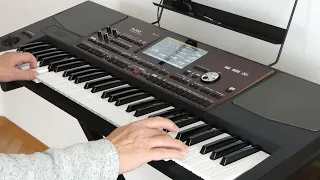 Stile Nacht Heilige Nacht gespielt am Keyboard Korg Pa 700