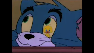 Tom and Jerry The vanishing Duck Episode 112