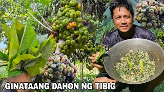 Ginataang Talbos ng Tibig na may tapalang...Pagkaing probinsya