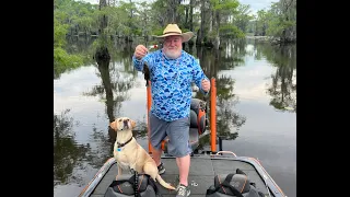 Reeling in Bream on Caddo Lake - Karnack TX