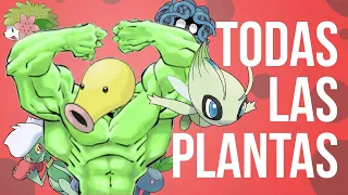 ¿Qué tipo de plantas son los Pokémon?