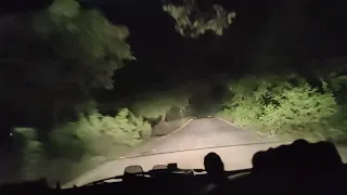 जंगल में मिला लकड़बग्घा । Striped Hyena Sighting In Rajaji National Park । Night Jungle Drive