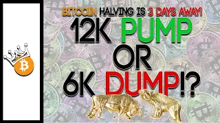 Will Bitcoin Halving Pump or Dump The Price! Heres what to Look For