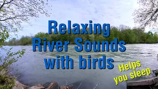 Relaxing and Satisfying River Scenery with natural sounds of the river rushing by and birds, ASMR