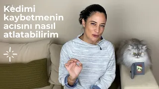 Kedimiz, köpeğimiz, evcil hayvanımızın ölüm acısıyla nasıl baş edebiliriz, atlatmanın yolları!