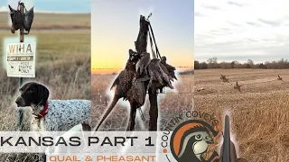 KANSAS QUAIL AND PHEASANT PART ONE!