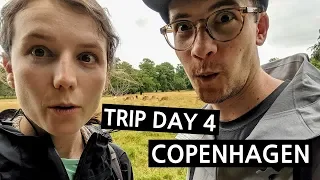 DAY TRIP FROM COPENHAGEN: Dyrehaven Deer Park