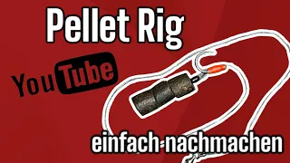 Welsangeln leicht gemacht Einsteiger Tutorial Pellet Rig Waller Bigcathunter