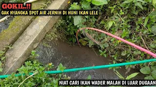 KAGET.!! NIAT MANCING IKAN WADER DI SELOKAN AIR JERNIH || TIBA TIBA STRIKE IKAN LELE BERKALI KALI