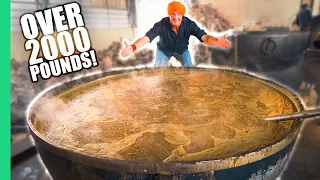 How India Cooks Lunch for 50,000 People for FREE! The MIRACLE in Punjab, India.