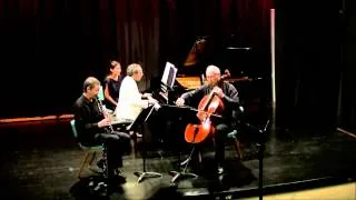 Alexander von Zemlinsky. Trio in D Minor, Op.3. I. Allegro ma non troppo