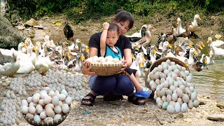 Single girl Harvesting Duck Eggs and Eggplants Going to the market to sell | Em Tên Toan