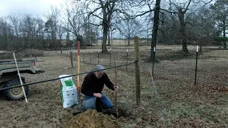Best way to plant a Dwarf Bing cherry tree