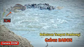 BENAR BENAR MENGUJI KESABARAN ‼️ BEBATUAN SARANGNYA GABUS MONSTER || MANCING CASTING IKAN GABUS