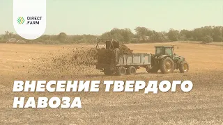 Правила и особенности внесения твердого навоза КРС в почву