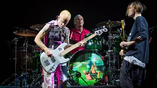 Red Hot Chili Peppers - Dani California - Oslo 2016 (SBD audio)