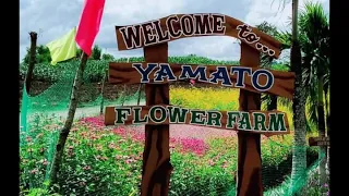 Yamato Flower Farm Municipality of Lambunao Province of iloilo city, Philippines