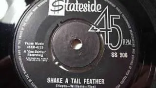 Five Du-Tones -  " Shake a Tail Feather "