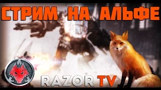 Warface Стрим на Альфе вместе с девушкой!