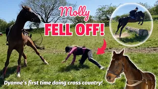 MOLLY FELL OFF😧 / Dyanne’s First Cross Country Outing!