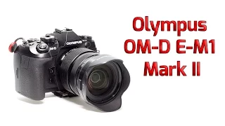 Olympus E-M1 Mark II hidden menu for shutter count