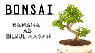 jhatpat bonsai taiyar // Bonsai banane ka tarika🏝