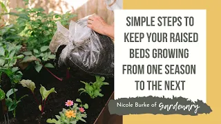 Simple Steps to Keep Your Raised Beds Growing from One Season to the Next