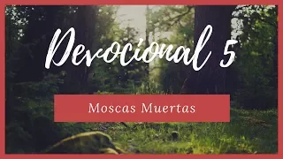 DEVOCIONAL 5 - Moscas Muertas - Eclesiastés 10:1