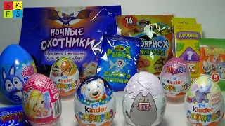 ДИНОЗАВРЫ кот Пушин КРОШИК Винкс SWEET BUNNY Ночные охотники РЫБКИ Киндер Unboxing Kinder Pusheen