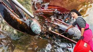 [ENG SUB] Xiao Zhang drives at sea  finds huge lobster with thick claws & abalone!