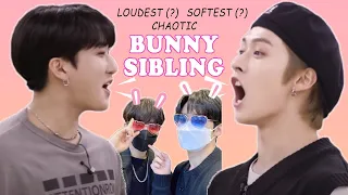 Our Bunnies Lee Know and Changbin Being the Loudest Chaotic Duo in SKZ Fam