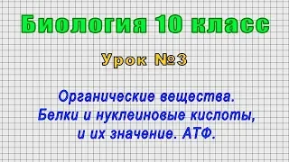 Биология 10 класс (Урок№3 - Органические вещества. Белки и нуклеиновые кислоты, и их значение. АТФ.)