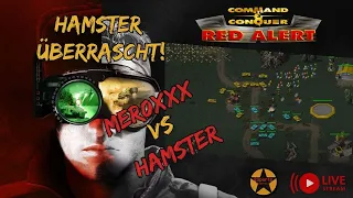 Des Hamsters Beute flüchtet? | Mer0xxx vs. Hamster| Esportsleague | C&C Red Alert