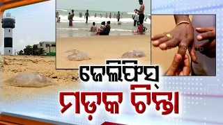 Thousands of Jellyfish carcasses dot Puri beach
