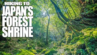 Hiking to Japan's Hidden Forest Shrine | Japan 4K