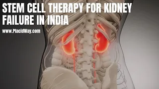 Stem Cell Therapy for Kidney Failure in India