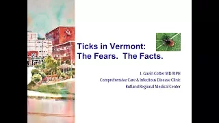 Ticks in Vermont: The Fears, The Facts