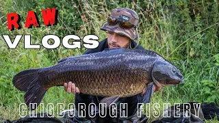 CHIGBOROUGH FISHERY RAW VLOG 002