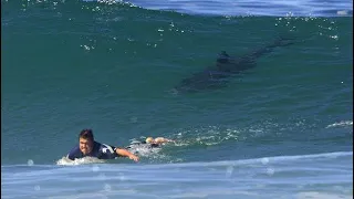 The Most HORRIFYING Shark Attacks Ever Recorded