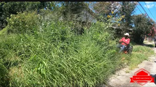 The COMMUNITY Treats This INSANELY OVERGROWN Yard Like a Complete DUMP (tallest yard)