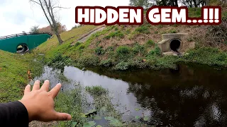 Fishing a DITCH by the STREET!!! MASSIVE BIODIVERSITY...! [LIFER ALERT]