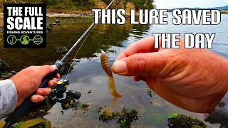 This LURE Saved The Day | Bream Fishing Tasmania | The Full Scale