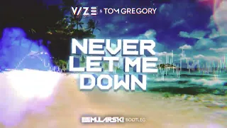 VIZE & Tom Gregory - Never Let Me Down (DJ Mularski Bootleg)