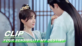 Clip: My Wife Is Always Charming | Your Sensibility My Destiny EP19 | 公子倾城 | iQiyi