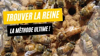 La méthode ultime pour trouver une reine