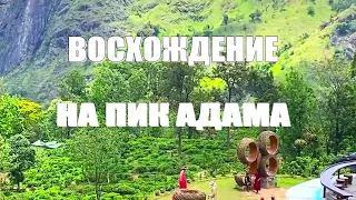 Горная часть ШРИ-ЛАНКА ЭКСКУРСИЯ В ЭЛЛА