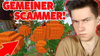 DIESER GEMEINE SCAMMER *** MICH!! 😨😡