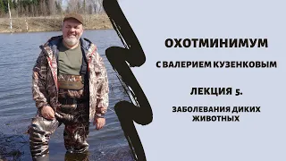 Охотминимум. Лекция 5. Заболевания диких животных